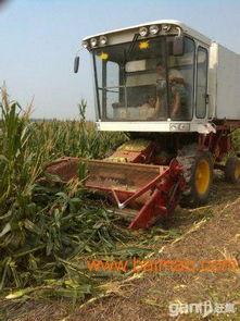 国产葵花秸秆收割机视频,高效便捷的农业革新利器