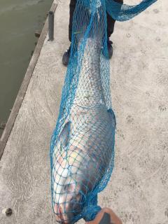 狼色视频国产,揭秘国产影视行业的新趋势与挑战